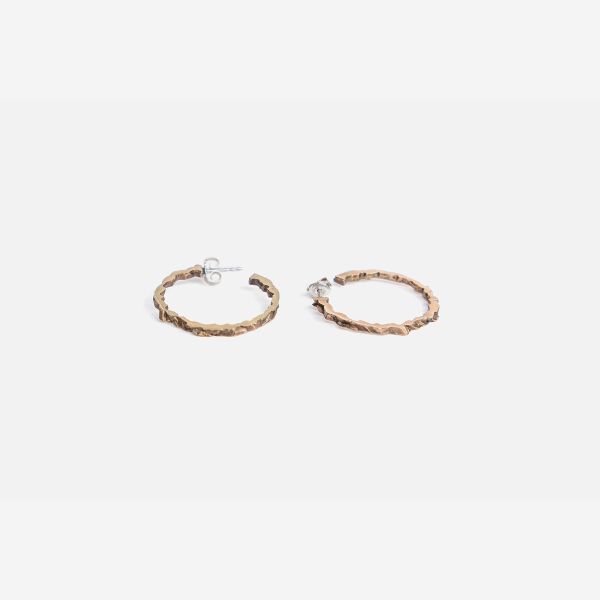 Bronze earrings